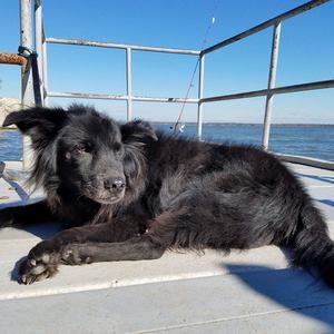 Meet your Posher, Stan